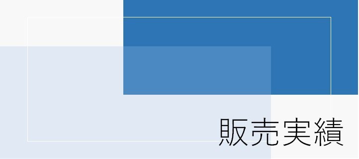 販売実績２